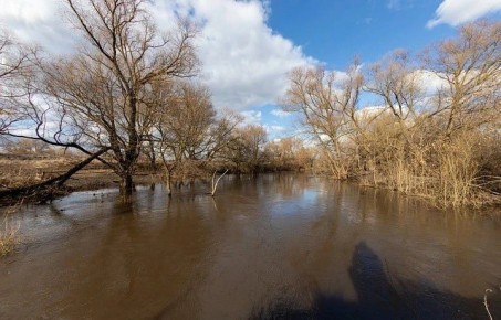 В Тульской области ожидается подъем Оки выше пяти метров