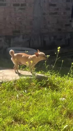 ��� �� ��� � ������������ ������� �������