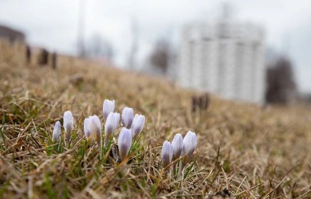 ������ �� 17 �����. ����� ��������: 06:47