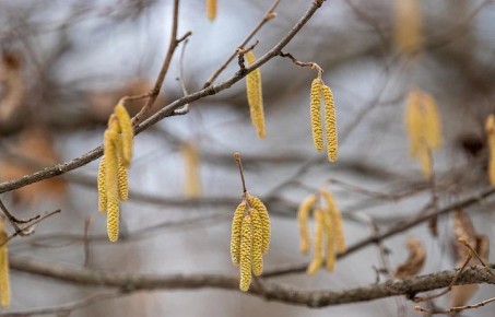 ������ �� 18 �����. ����� ��������: 06:37