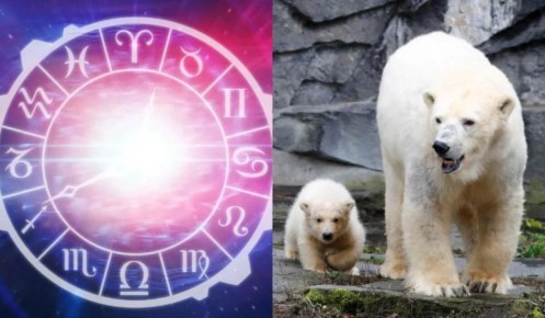 ����� ����������� �������� ������������� ��� ���� �������?