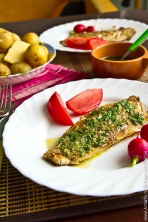 ���� �������� �� �����