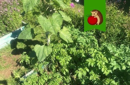 ������ ����� � ��������� �� ����� ������ ����������