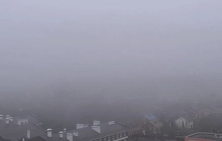 В Тульской области объявили метеопредупреждение из-за сильного тумана