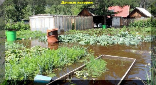 ������ ��� ��������: ��� ��������� ������ � ��������� ����