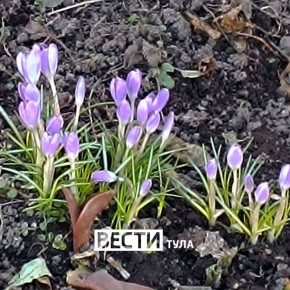 ��������: ���������� ��� ���������