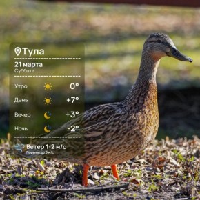 ������ ����. ������ ��� � ������ � ���� ������ � ������������ ������