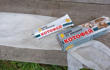 ��� ������� ������ ���� ��� ������ ���� �� ����������