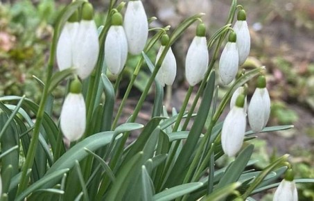 ������� ������ � �������� ������� �� 23 �����: ���������� ����������, ��� �������