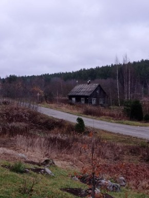 ����� ���� ������ ����� ������: ��� ����� ��������� ����������