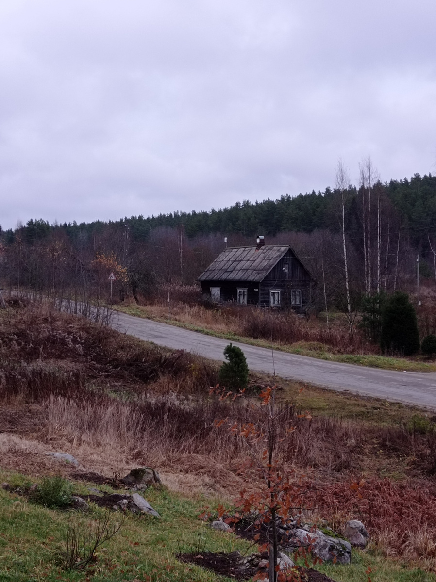 Яркий кофе против серых будней: как чашки поднимают настроение