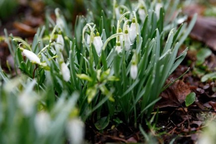 �� ��������� ����������� ������� ����� ������� ����� �� �������� ������