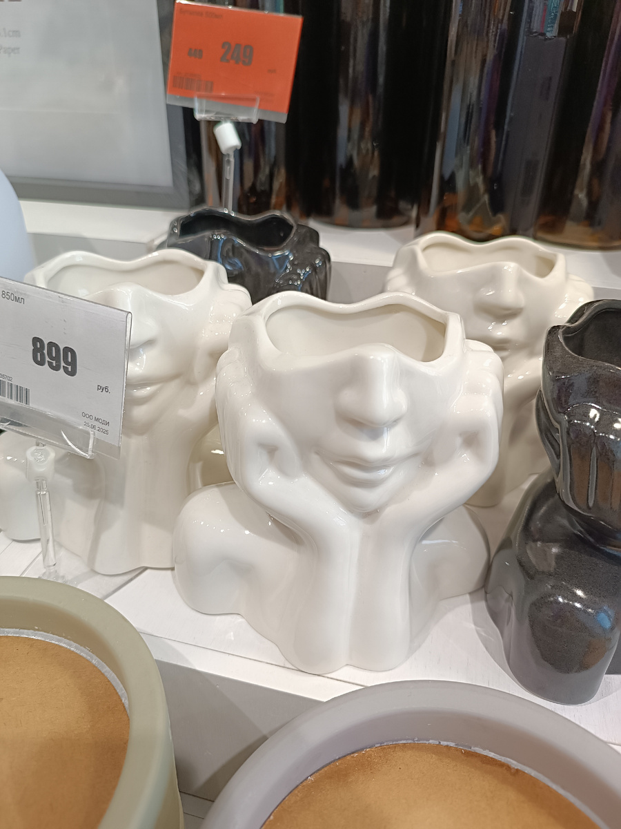 Как неожиданные походы помогают наладить уют и вкус в жизни