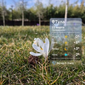 Доброе утро. Пусть неделя пройдет легко и беззаботно! Всем удачи в делах и работе