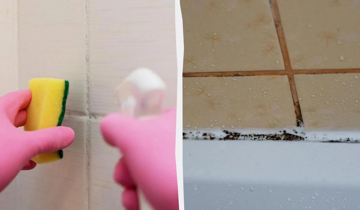 Секреты безупречной чистоты: как убрать грибок с плитки в ванной