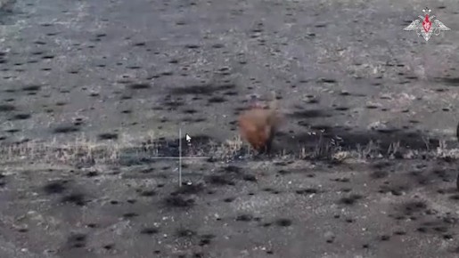 Минобороны России: 00:00 Расчет 122-мм орудия «Д-30» Тульских десантников уничтожил группу пехоты ВСУ в Сумской области