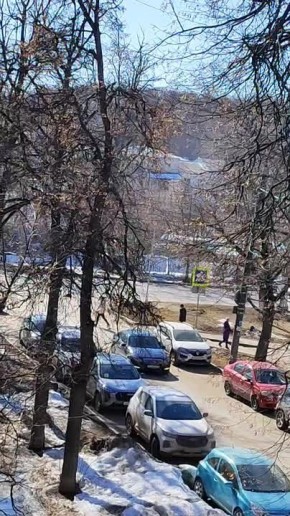 �������� ���������