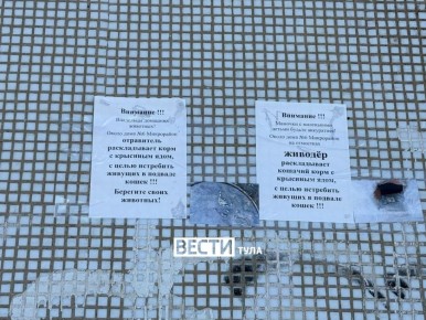 � ��������� ���� ��������, ������� ������������ ����������� ���� ��� �����