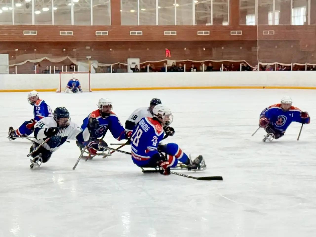 Дмитрий Миляев: #Нашасилавспорте. Сегодня в Алексине, на базе РУТБ «ОКА», стартовали финальные матчи Всероссийского чемпионата России по хоккею-следж «Высшая лига»