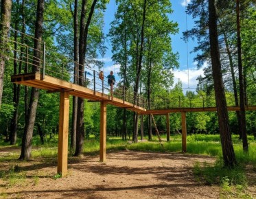 �� ������ �� ������������ ���� ������� �������� �������?