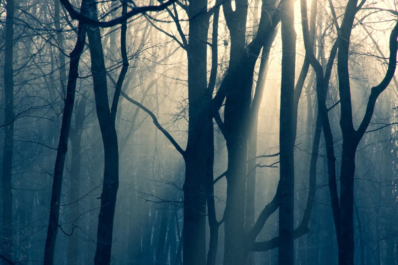 Туляков предупредили о густом тумане 27 марта