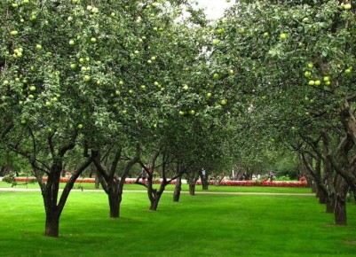 ��� ��������� �������� �������: ������ ��� ���������� ���������