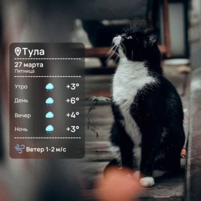 ������ ����. ������� ������� ������ ������, �� ����� �� �� �������� ��� �����