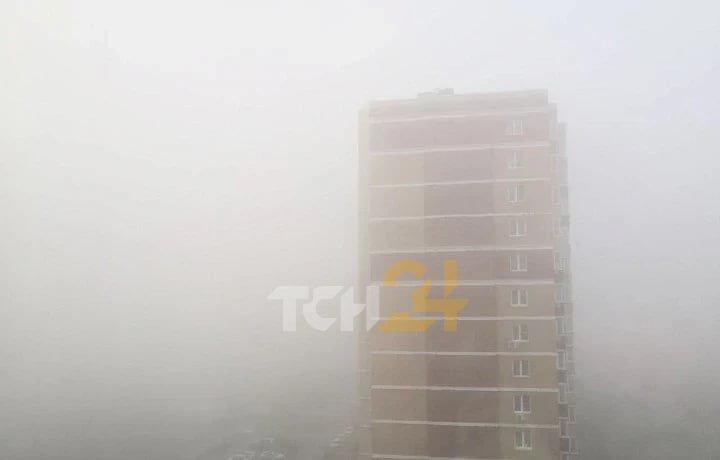 МЧС предупреждает о густом тумане в Тульской области