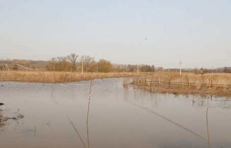 В реках Тулы ожидается подъём уровня воды из-за потепления