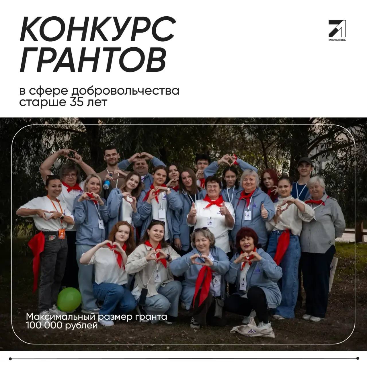 Дмитрий Миляев: Добровольчество без возраста: открываем новые возможности для жителей Тульской области!