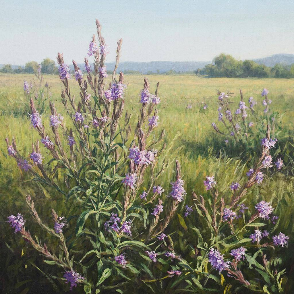 Выращивание «шалфея предсказателей» может обернуться для дачников тюремным сроком до 8 лет