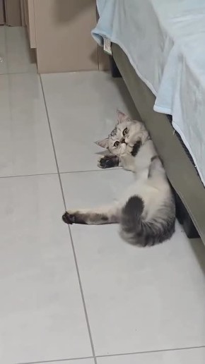 ����� ��������� ����������, ��� ������ ���������� � ��������