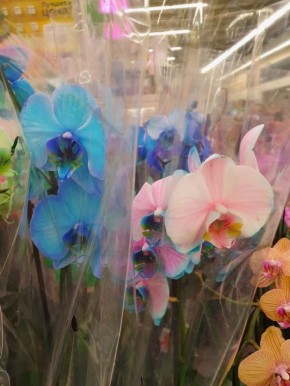 ������ ����� �������� ������� �������� ������� � �����������?