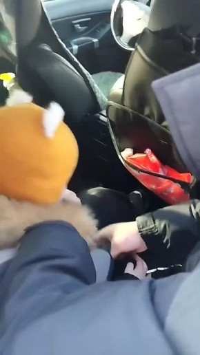 Полетков Дмитрий из поселка Дубна Тульской области с папой присоединяются к челленджу Госавтоинспекции Тульской области под единым хештегом #пристегнупотомучтолюблю71