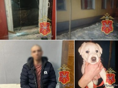 ������� ������� �� �������������: ���������� ������� ������� ��������� ����������� ���������