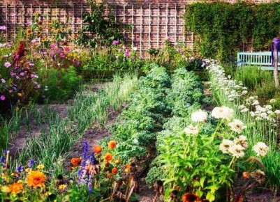 ��� ������� �������� ������������ ���� � ������ � ����� ������