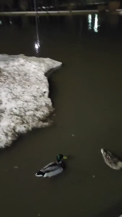 А Баташевский парк становится похож немного на Венецию