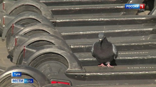 ��������������� ������� ��������������� ������