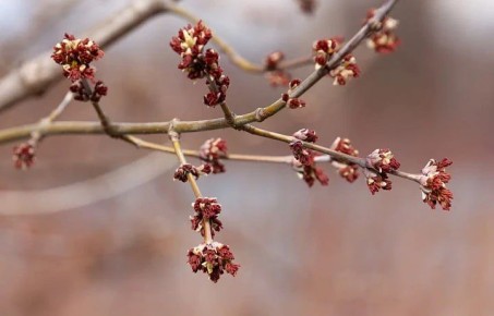 � �������� ������� �������� ��������� ������� ��������� ��-�� ����������� �����