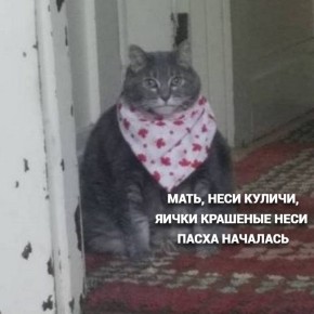 150-200 ������� ������ �� ����� � ����� ��� ��������� ��������