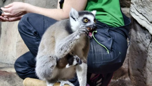 � �������� ����������� �� ���� ��������� ��� �������� ��������� ������