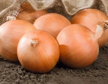 ��� �����: ������ ����� ������ ����� � ������������ ������