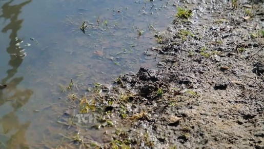 ����������� ��� � ���� ��������� ����: ���� ������� �����������