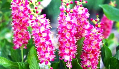 ������: ��������� ������� ��� �������� ������� ����