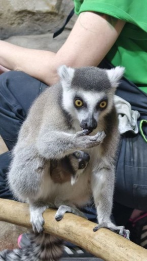 � ��� ������ �� �����������, ��� �������� �������������� ������� ��������� ������!