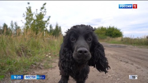 ������ ������� ��� �������� � ���������