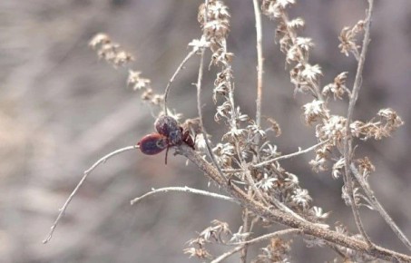 ������ ������� �������� ������� ���������� �� ������ ������ � 23 ����� �� 3 ������