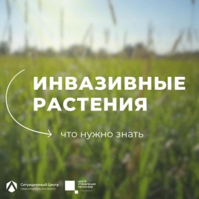 ������� �������� �����. ��������� �������� ������ �������� � �������� �����