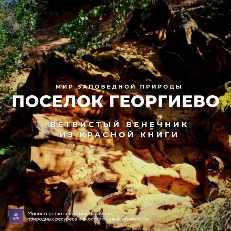 ������� ������: #������������������. ��������� �������� �� ������� ����� ������ � �������� ��������� ������� �����������: �� ����� �� ����, ������� ���������, � �����