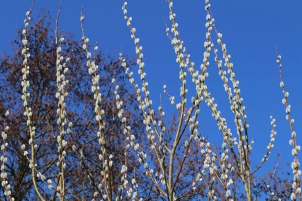 ���� ��������: � ������� ������������, ������!